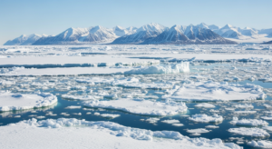 arctique-especes-menacees-featured