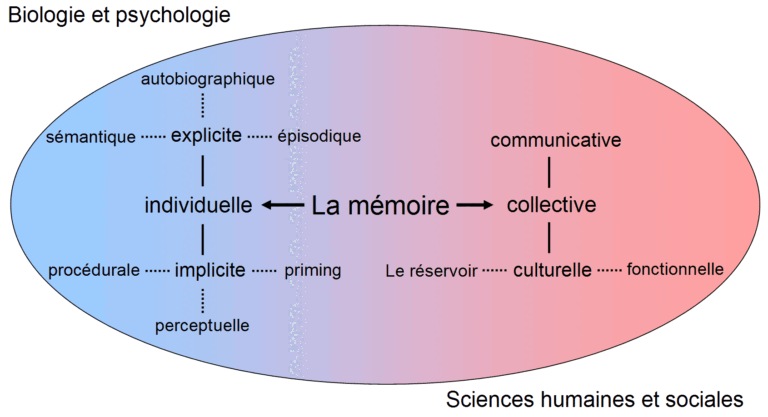 m-moire-humaine-featured